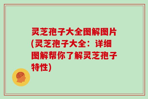 灵芝孢子大全图解图片(灵芝孢子大全:详细图解帮你了解灵芝孢子特性) 灵芝孢子大全图解图片(灵芝孢子大全:详细图解帮你了解灵芝孢子特性)