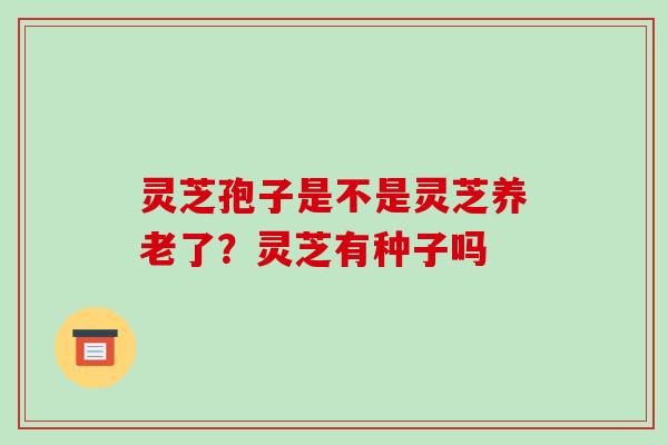 灵芝孢子是不是灵芝养老了？灵芝有种子吗