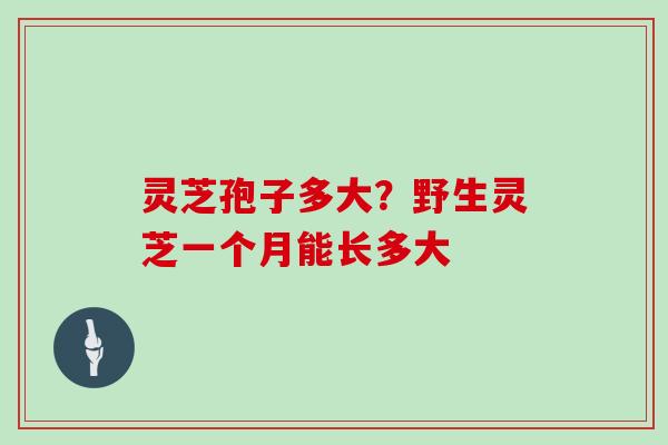 灵芝孢子多大?野生灵芝一个月能长多大 灵芝孢子多大?野生灵芝一个月能长多大