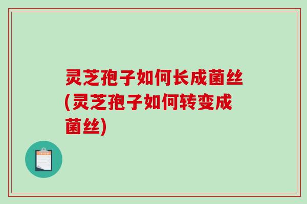 灵芝孢子如何长成菌丝(灵芝孢子如何转变成菌丝) 灵芝孢子如何长成菌丝(灵芝孢子如何转变成菌丝)