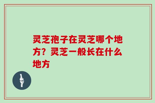 灵芝孢子在灵芝哪个地方?灵芝一般长在什么地方 灵芝孢子在灵芝哪个地方?灵芝一般长在什么地方