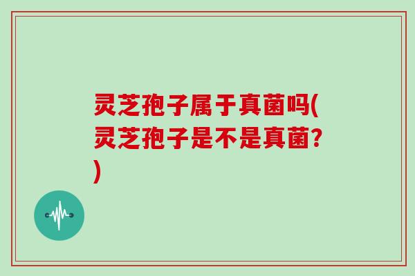 灵芝孢子属于真菌吗(灵芝孢子是不是真菌?) 灵芝孢子属于真菌吗(灵芝孢子是不是真菌?)