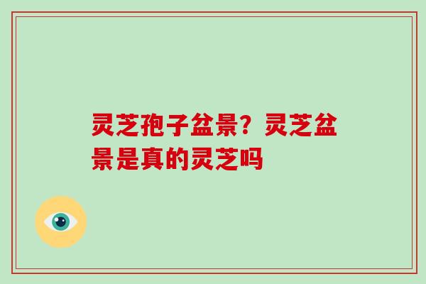 灵芝孢子盆景？灵芝盆景是真的灵芝吗