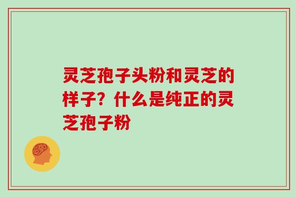 灵芝孢子头粉和灵芝的样子？什么是纯正的灵芝孢子粉