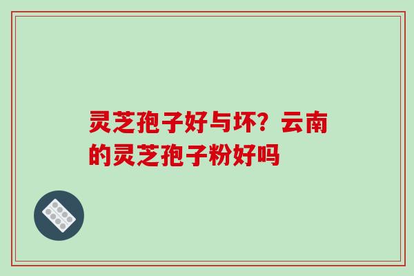 灵芝孢子好与坏？云南的灵芝孢子粉好吗