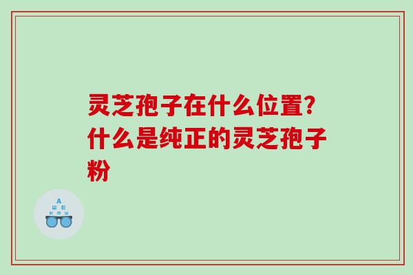 灵芝孢子在什么位置？什么是纯正的灵芝孢子粉