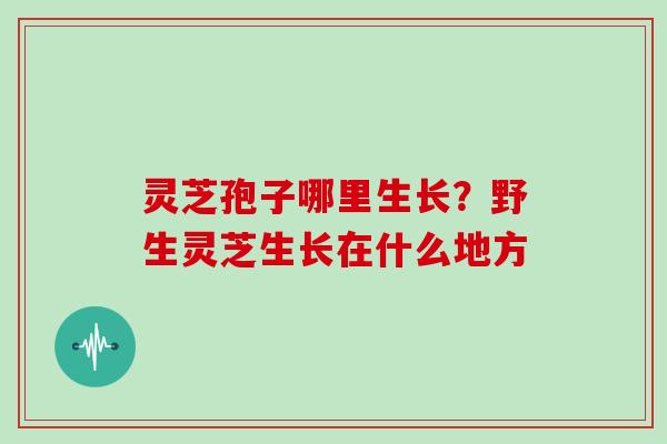 灵芝孢子哪里生长？野生灵芝生长在什么地方