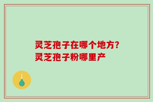 灵芝孢子在哪个地方？灵芝孢子粉哪里产