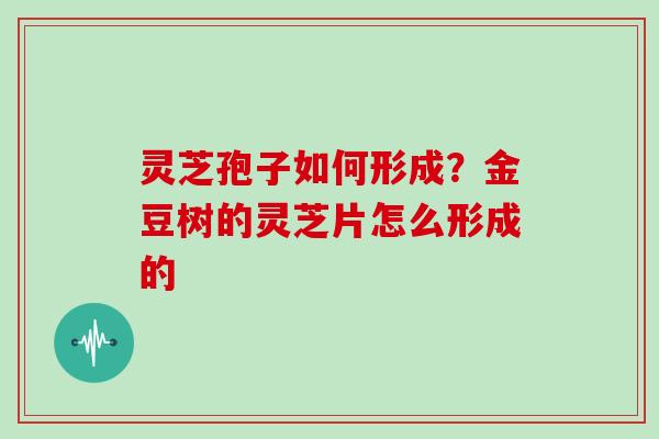 灵芝孢子如何形成？金豆树的灵芝片怎么形成的