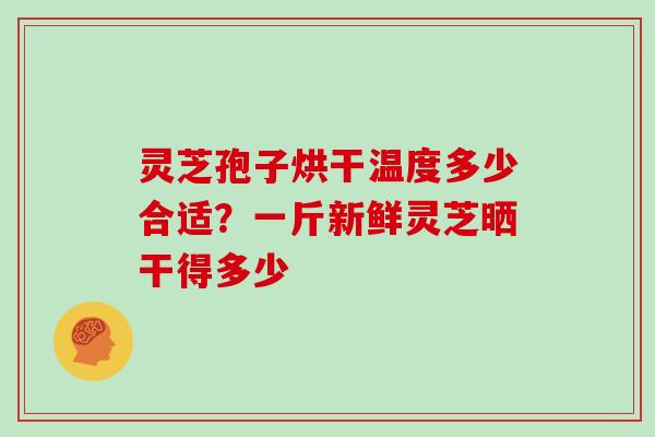 灵芝孢子烘干温度多少合适？一斤新鲜灵芝晒干得多少