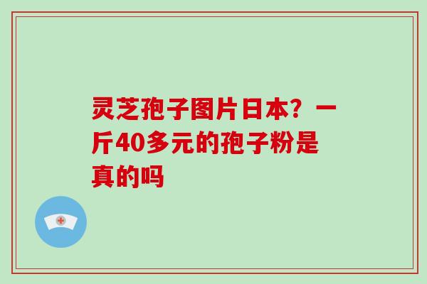 灵芝孢子图片日本？一斤40多元的孢子粉是真的吗