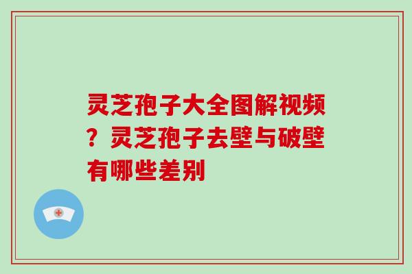 灵芝孢子大全图解视频？灵芝孢子去壁与破壁有哪些差别