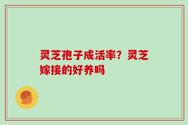 灵芝孢子成活率？灵芝嫁接的好养吗