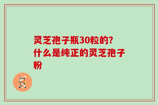 灵芝孢子瓶30粒的？什么是纯正的灵芝孢子粉
