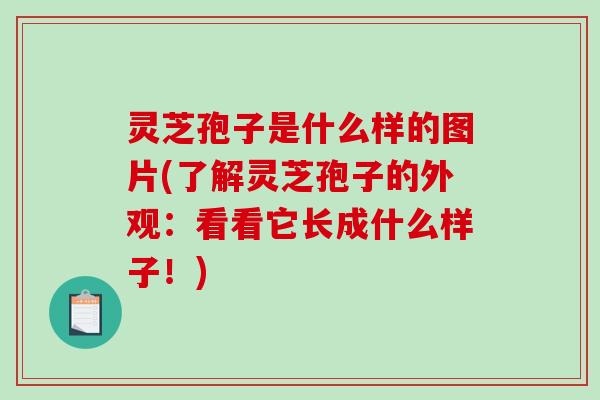 灵芝孢子是什么样的图片(了解灵芝孢子的外观：看看它长成什么样子！)