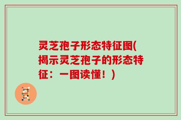 灵芝孢子形态特征图(揭示灵芝孢子的形态特征：一图读懂！)