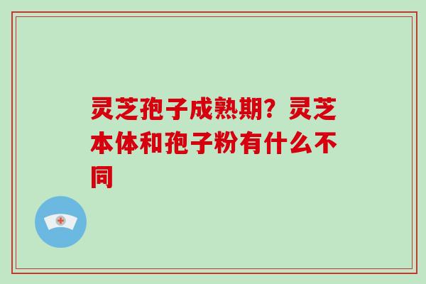 灵芝孢子成熟期？灵芝本体和孢子粉有什么不同