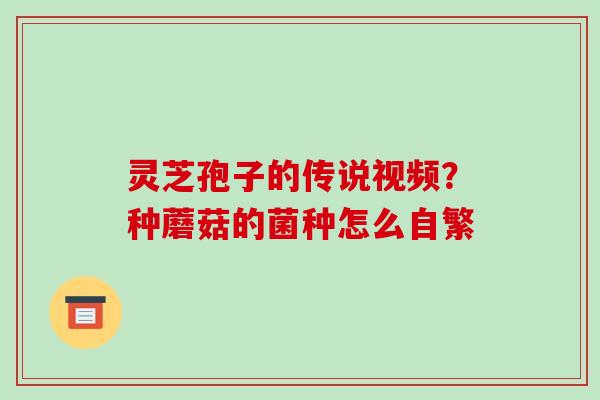 灵芝孢子的传说视频？种蘑菇的菌种怎么自繁