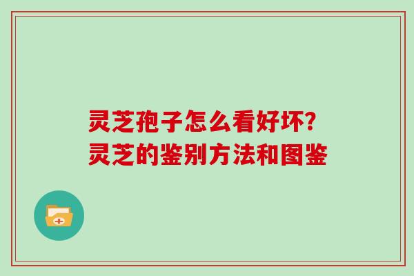 灵芝孢子怎么看好坏？灵芝的鉴别方法和图鉴
