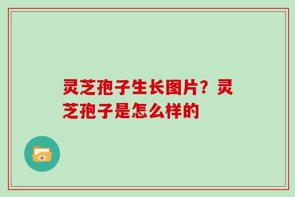 灵芝孢子生长图片？灵芝孢子是怎么样的