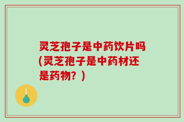 灵芝孢子是饮片吗(灵芝孢子是材还是？)