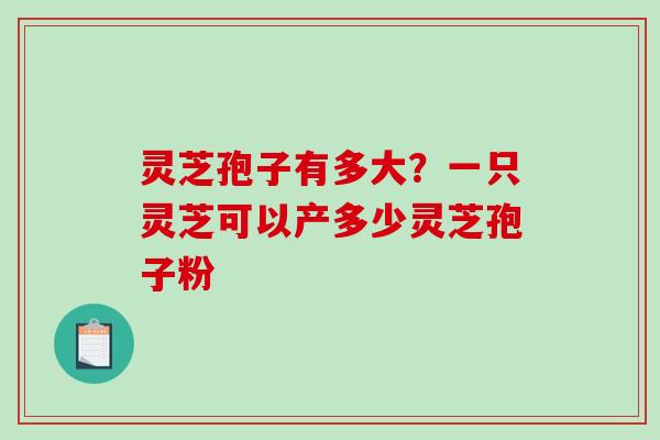 灵芝孢子有多大？一只灵芝可以产多少灵芝孢子粉