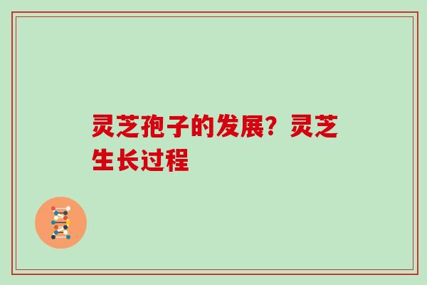 灵芝孢子的发展？灵芝生长过程