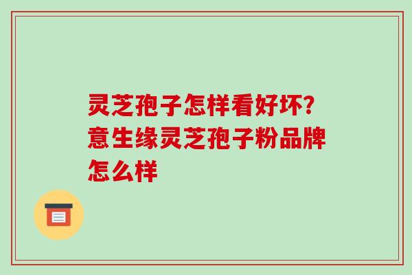 灵芝孢子怎样看好坏?意生缘灵芝孢子粉品牌怎么样 灵芝孢子怎样看好坏?意生缘灵芝孢子粉品牌怎么样