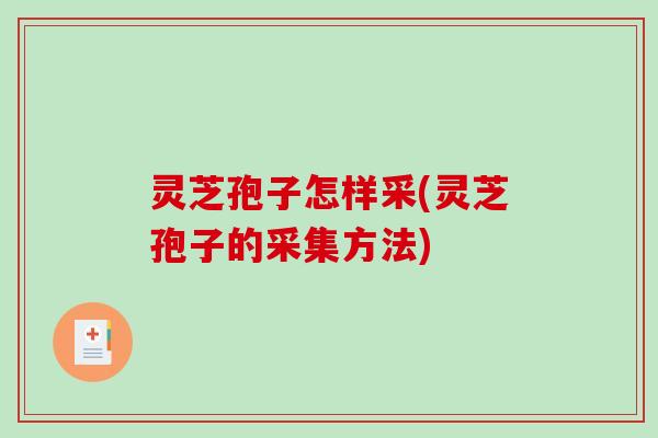 灵芝孢子怎样采(灵芝孢子的采集方法)