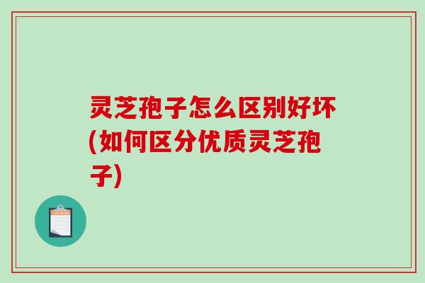 灵芝孢子怎么区别好坏(如何区分优质灵芝孢子)