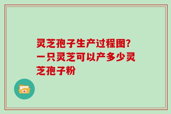 灵芝孢子生产过程图？一只灵芝可以产多少灵芝孢子粉