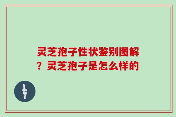 灵芝孢子性状鉴别图解？灵芝孢子是怎么样的