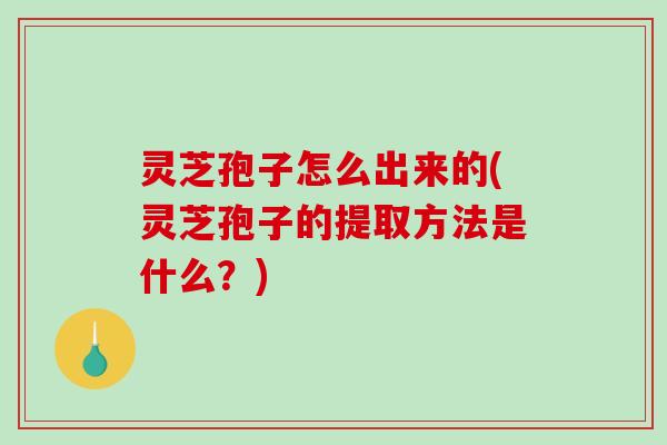 灵芝孢子怎么出来的(灵芝孢子的提取方法是什么？)
