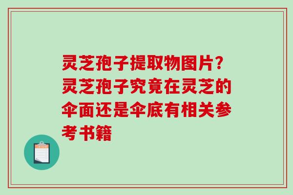灵芝孢子提取物图片？灵芝孢子究竟在灵芝的伞面还是伞底有相关参考书籍