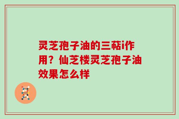 灵芝孢子油的三萜i作用？仙芝楼灵芝孢子油效果怎么样