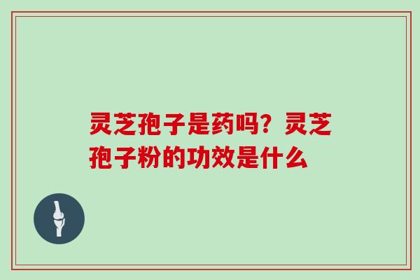 灵芝孢子是药吗？灵芝孢子粉的功效是什么