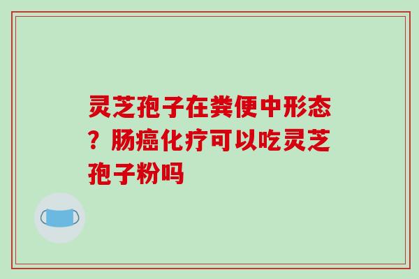 灵芝孢子在粪便中形态？肠可以吃灵芝孢子粉吗