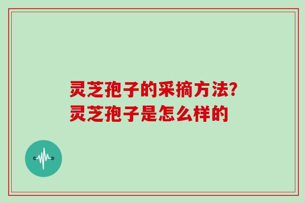 灵芝孢子的采摘方法？灵芝孢子是怎么样的