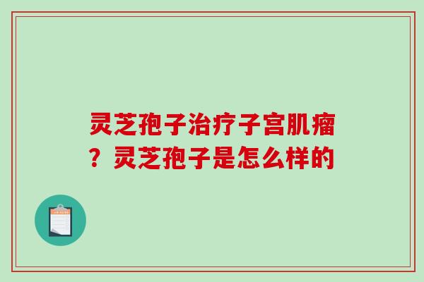 灵芝孢子子宫?灵芝孢子是怎么样的 灵芝孢子子宫?灵芝孢子是怎么样的