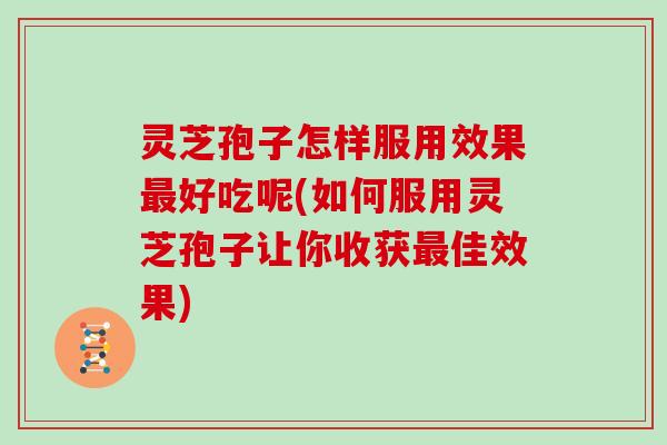灵芝孢子怎样服用效果好吃呢(如何服用灵芝孢子让你收获佳效果)