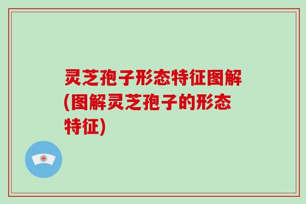 灵芝孢子形态特征图解(图解灵芝孢子的形态特征) 灵芝孢子形态特征图解(图解灵芝孢子的形态特征)