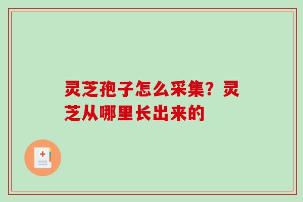 灵芝孢子怎么采集？灵芝从哪里长出来的