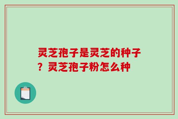 灵芝孢子是灵芝的种子?灵芝孢子粉怎么种 灵芝孢子是灵芝的种子?灵芝孢子粉怎么种