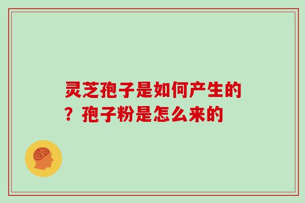 灵芝孢子是如何产生的?孢子粉是怎么来的 灵芝孢子是如何产生的?孢子粉是怎么来的
