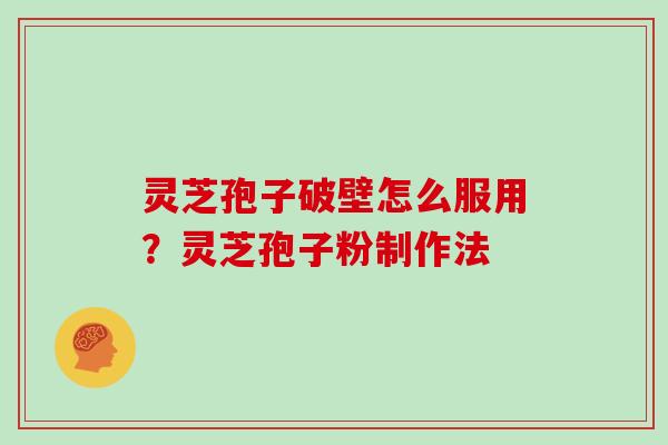 灵芝孢子破壁怎么服用?灵芝孢子粉制作法 灵芝孢子破壁怎么服用?灵芝孢子粉制作法