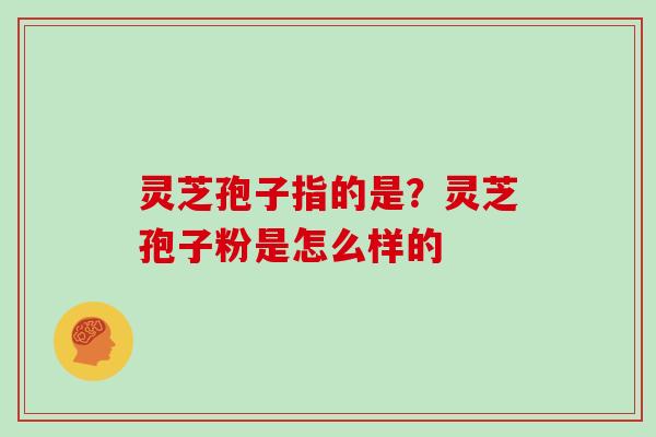 灵芝孢子指的是?灵芝孢子粉是怎么样的 灵芝孢子指的是?灵芝孢子粉是怎么样的