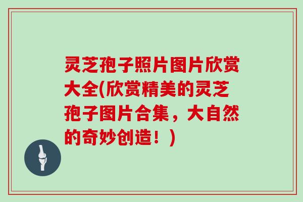 灵芝孢子照片图片欣赏大全(欣赏精美的灵芝孢子图片合集，大自然的奇妙创造！)