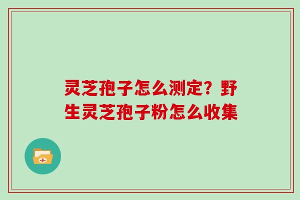 灵芝孢子怎么测定?野生灵芝孢子粉怎么收集 灵芝孢子怎么测定?野生灵芝孢子粉怎么收集