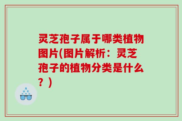 灵芝孢子属于哪类植物图片(图片解析:灵芝孢子的植物分类是什么?) 灵芝孢子属于哪类植物图片(图片解析:灵芝孢子的植物分类是什么?)