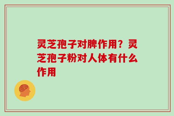 灵芝孢子对脾作用?灵芝孢子粉对人体有什么作用 灵芝孢子对脾作用?灵芝孢子粉对人体有什么作用